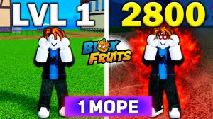 БЛОКС ФРУТС от НУБА до ПРО 2800 лвл но ТОЛЬКО КОМБАТ -1 море озвучка