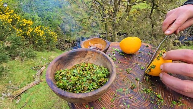 47. Еда на природе АСМР