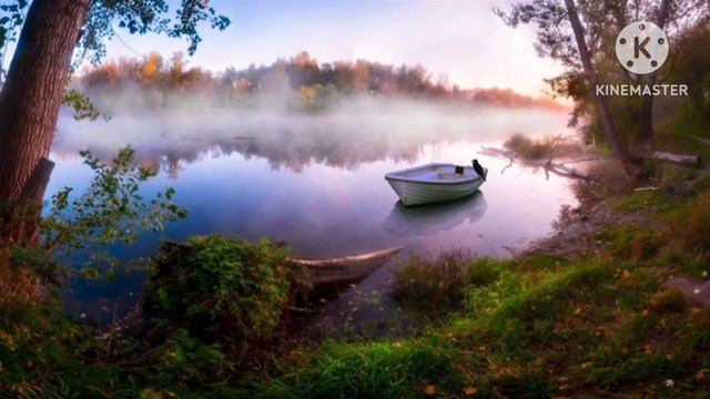 мы родились в Сибири//глаза завидущие//обзор канала смотреть онлайн