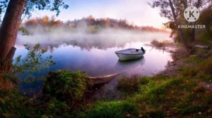 мы родились в Сибири//глаза завидущие//обзор канала