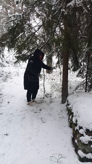 Как мы по Выборгу гуляли смотреть онлайн