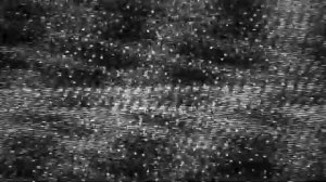 skibidi mafia (season 1)