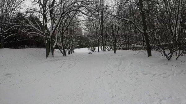 Traxxas X-maxx Vitavon