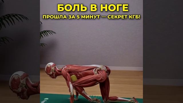 Упражнения устранение боли неврология Биохакеры смотреть онлайн