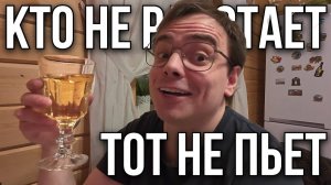 НЕОЖИДАННАЯ ДАЧНАЯ ЖИЗНЬ: Костя сбрил бороду, кошка Муся управляет! Реальный влог Мистера ВВ