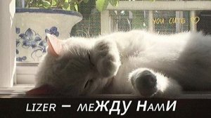 Плейлист рандомных вайбовых песен シ