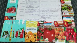 Сроки посева семян овощей и цветов на рассаду Сезон 2026.