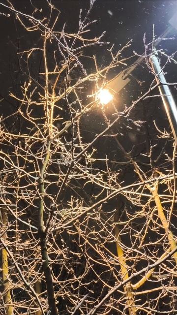 Право быть собой #цитаты #трансерфингреальности #мышление #мотивация #саморазвитие #самооценка