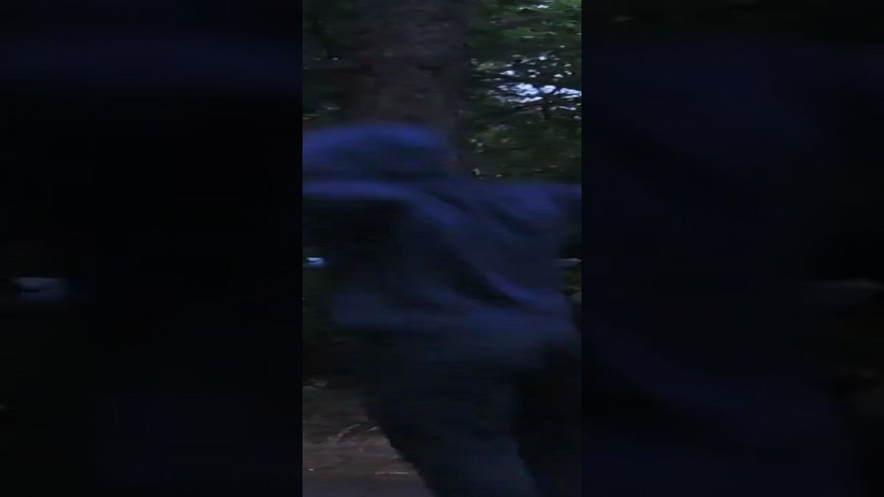 15 dips non stop смотреть онлайн