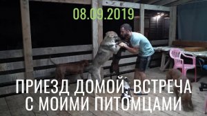 08.09.2019 | Первое видео на канале «Питбули Dragon Life» | Приезд домой, встреча с моими питомцами