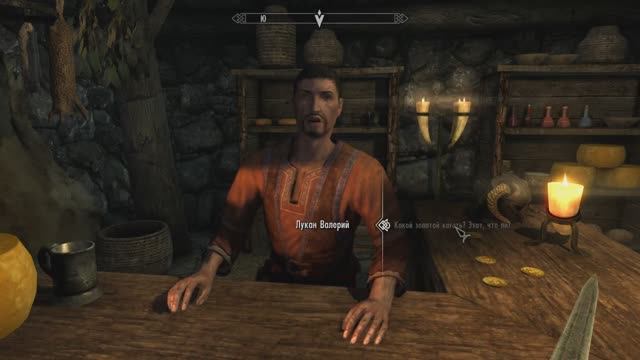 The Elder Scrolls V: Skyrim 9.1