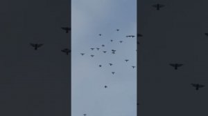 30.12.2025. Безкружные голуби, Чуманова Виталия.