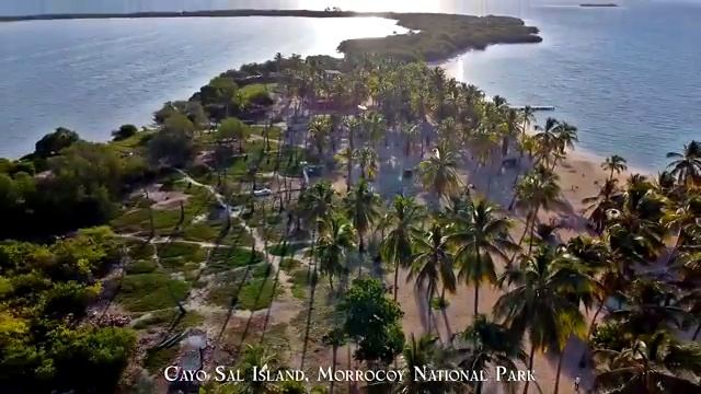 Венесуэла. смотреть онлайн