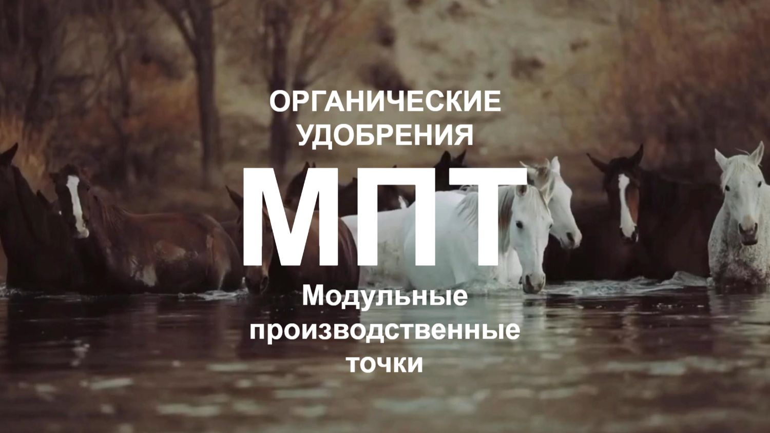 Удобрение конский навоз, сидераты Ростов-на-Дону. Удобрение «Княжий Аргамак»