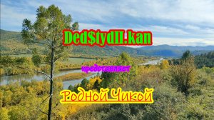 Родной Чикой.