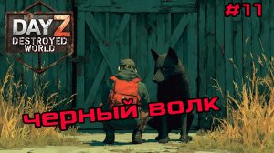 #11 Чёрный волк|DayZ DESTROYED WORLD|Патч 1.28|Сезон зима 2025