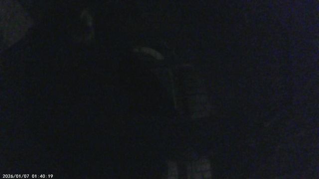 Трезвон по окончании ночного Рождественского Богослужения 7 января 2026