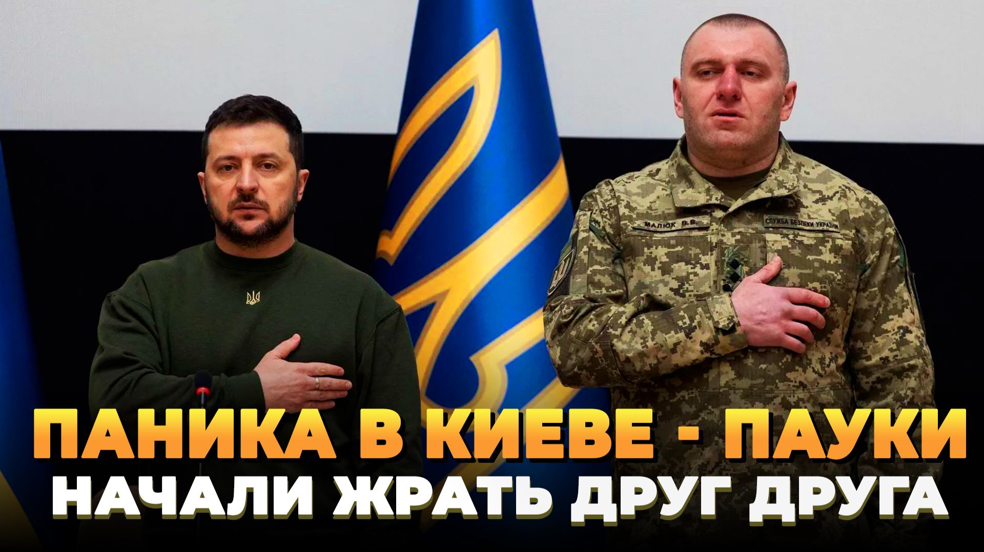 Паника в Киеве - Пауки начали жрать друг друга смотреть онлайн