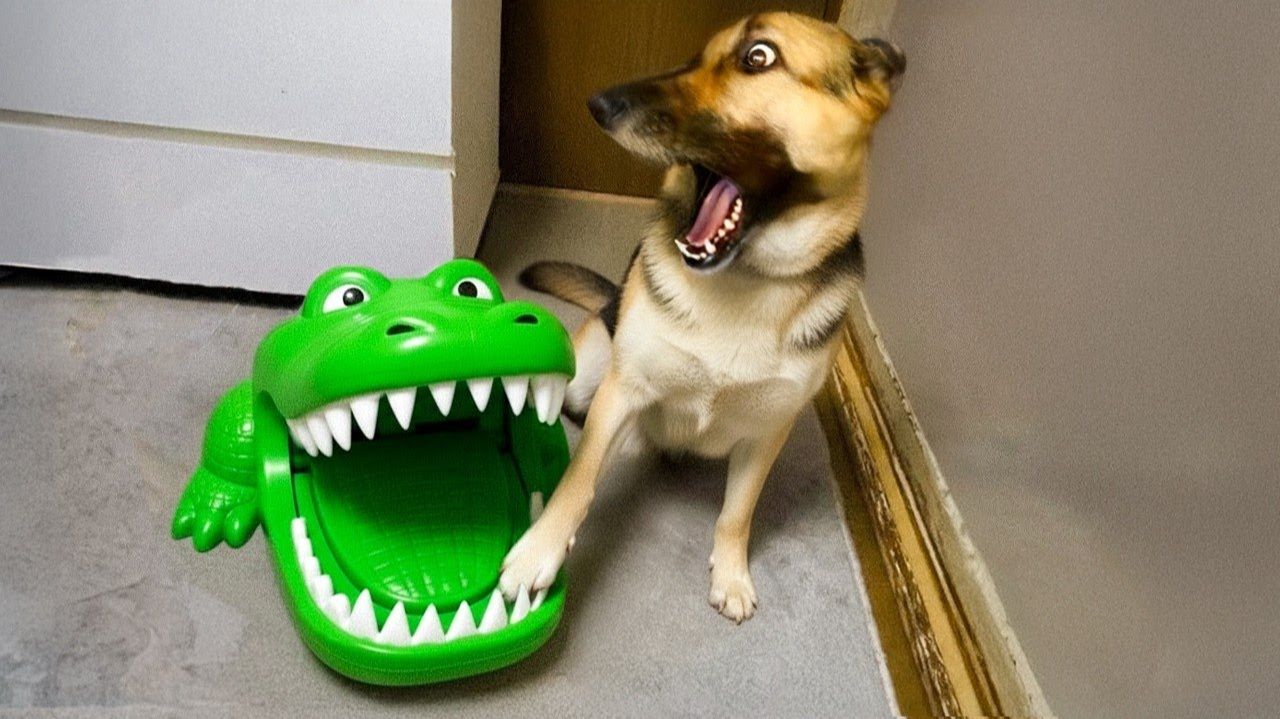 ПОПРОБУЙТЕ НЕ СМЕЯТЬСЯ 😂 Подборка смешных провалов🤭 ЛУЧШИЕ ПРИКОЛЫ 2025 года #2 смотреть онлайн