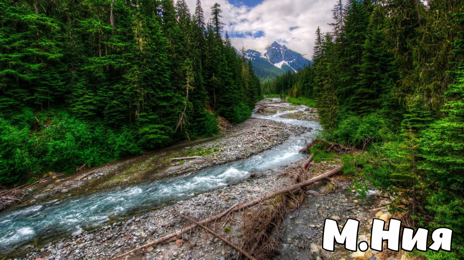 Что ты? — Максим Ниязов смотреть онлайн