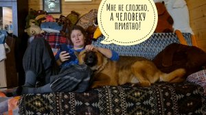 Подписчики довели Машу до истерики. Пёс Кубик готов к поездке к неврологу. Мучаем лыжи дальше