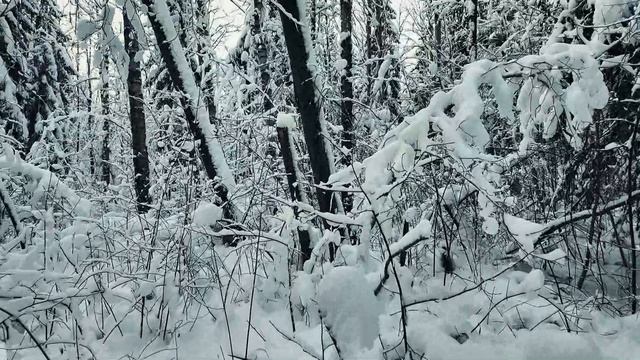 Александровский парк смотреть онлайн
