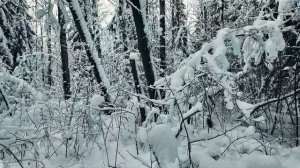 Александровский парк