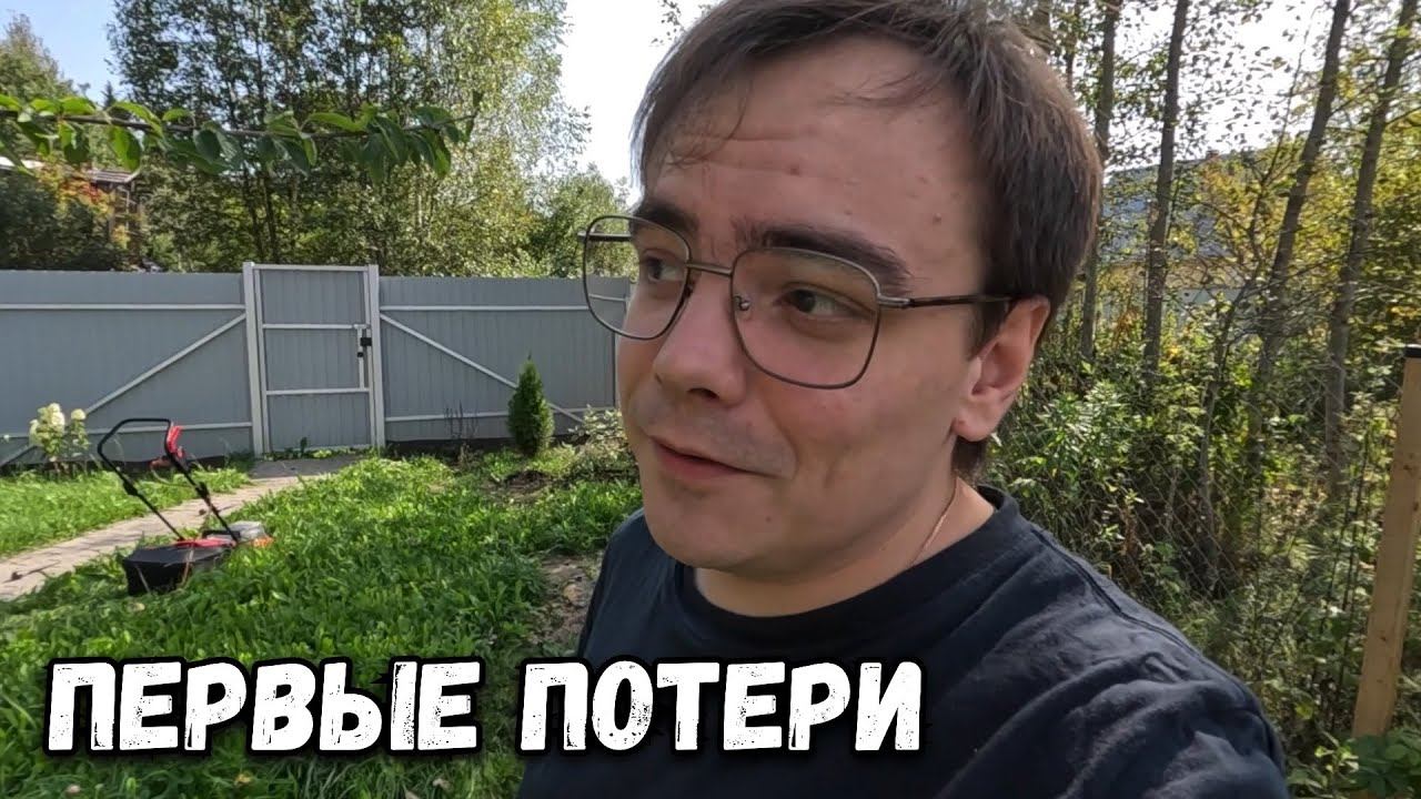 Мой первый урожай клубники на даче! Как я преодолел кротов и привел грядки в порядок смотреть онлайн