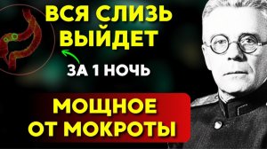 ВРАЧИ ОТ ЭТОМ НЕ РАССКАЖУТ! Мокрота уйдет за 10 минут! Гениальный хирург Сперанский