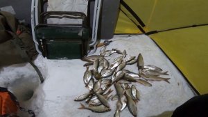 На Рыбалку За Плотвой в Глухозимье..