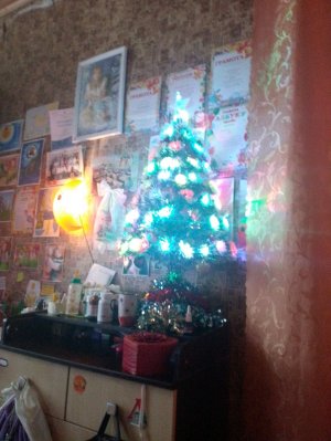 вечерний влог