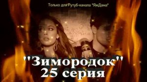 Впечатления от 25 серии турецкого сериала "Зимородок"