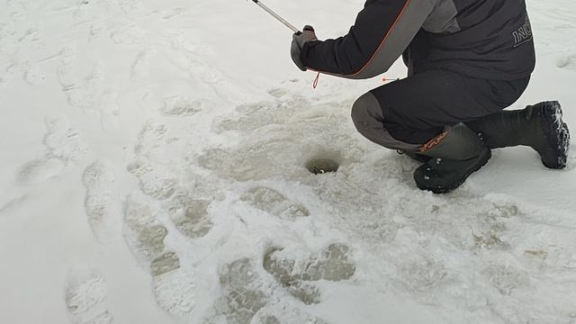 Основной водоём. Жёлтый сыр. смотреть онлайн