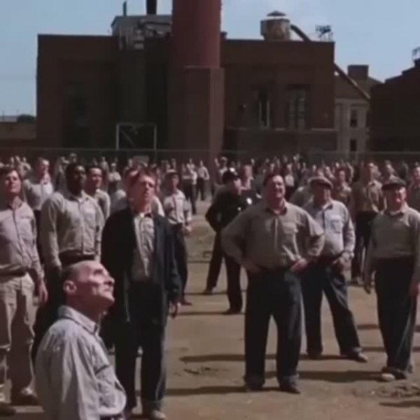 Кольщик! 🎼🔊😁