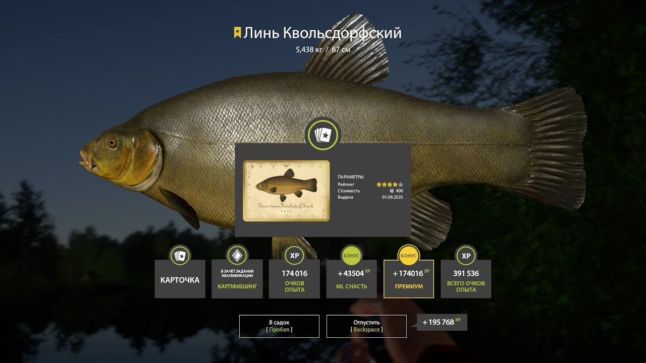 ФАРМИМ НА МЕДНОМ НА НОВЫЕ КАТЫ И ЗАДАНИЯ В РУССКОЙ РЫБАЛКЕ 4 СТРИМ смотреть онлайн