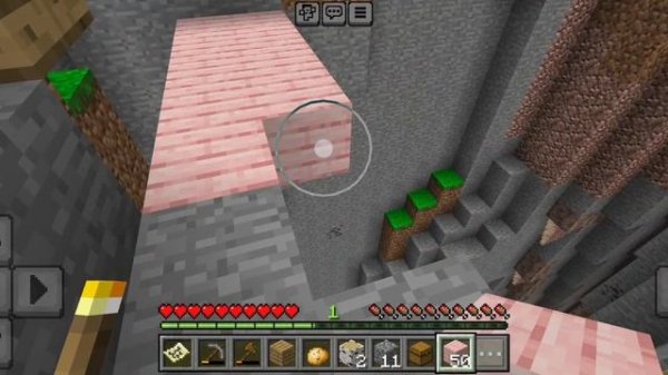 Minecraft skin wallker.