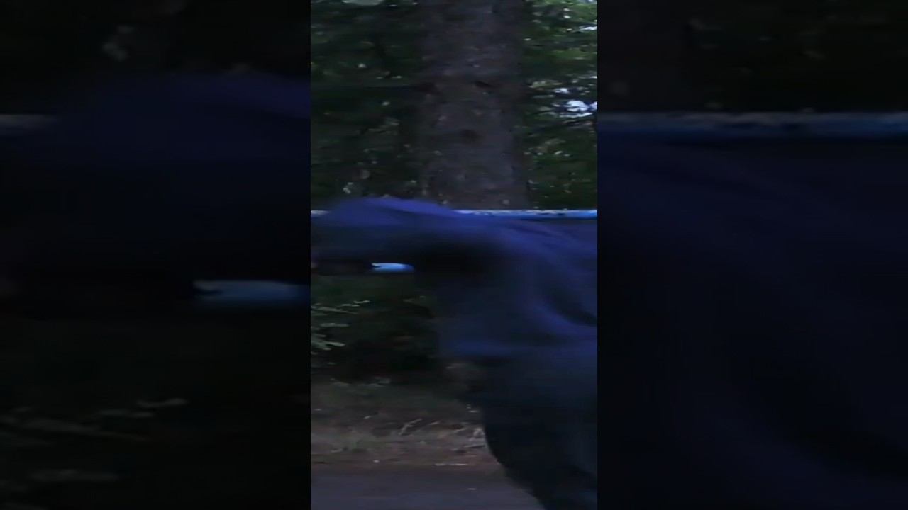 Parallel bar dips non stop смотреть онлайн