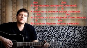 Дворовые песни - Белая береза (под гитару)