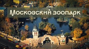 Московский зоопарк. Лето. Забавные животные.