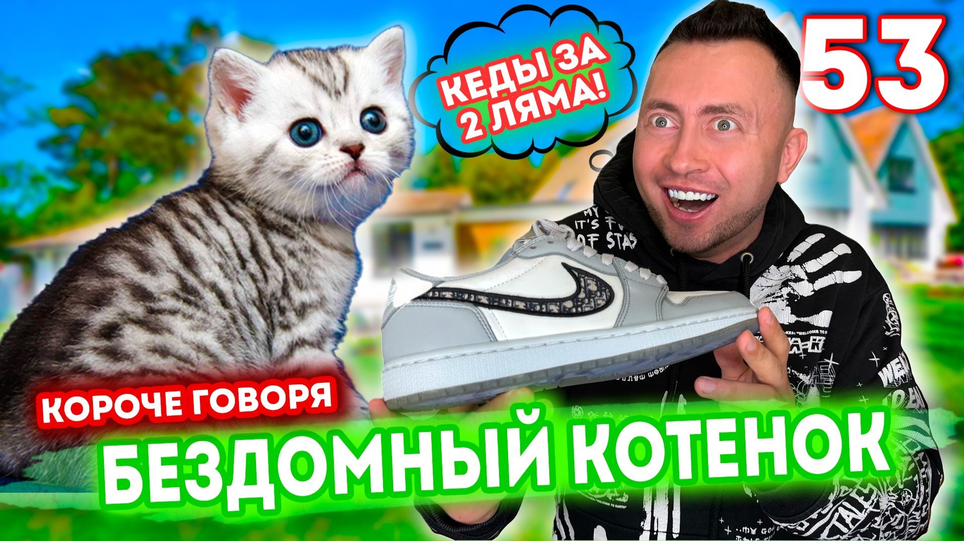 От первого лица: Я БЕЗДОМНЫЙ КОТЕНОК 53 - 5 лет спустя смотреть онлайн