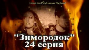 Впечатления от 24 серии турецкого сериала «Зимородок»