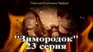 Впечатления от 23 серии турецкого сериала «Зимородок»