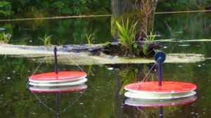 Почему нельзя ловить на кружки со стандартным оснащёнием? Наглядно!