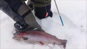 Поимки, сходы, обрывы. Нижний пруд. Клёвое место Лосиный остров.
