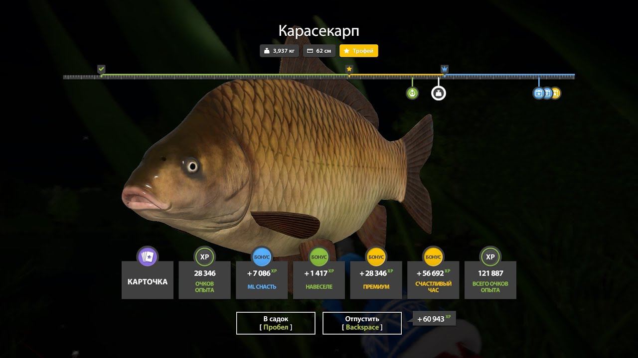 ЛЕГЕНДАРНАЯ РАЗДАЧА НА МЕДНОМ И НОВЫЙ ФАРМ НА ЯМЕ С КВЕСТАМИ В РУССКОЙ РЫБАЛКЕ 4 РР4 смотреть онлайн