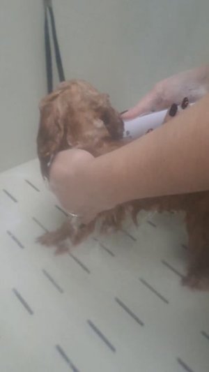 ужас Ужасный
