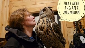 Маша тыкает сову Ёлку палкой! Сова в шоке! Я щупаю всю жабу насквозь, жаба тоже в шоке