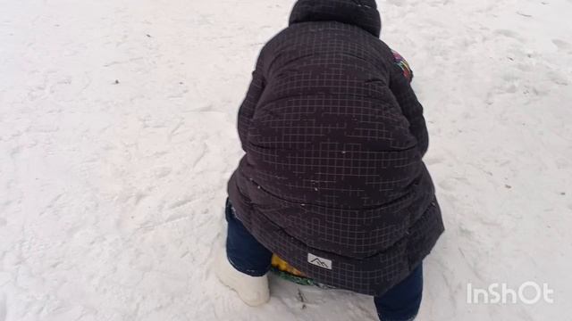 8.01.2026 Поход в лес на самые лучшие горки смотреть онлайн