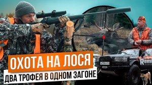 Загонная охота на лося. Быки против охотников. Бык шел на махах. Красивые выстрелы.