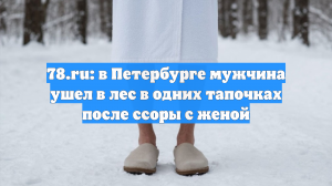 78.ru: в Петербурге мужчина ушел в лес в одних тапочках после ссоры с женой